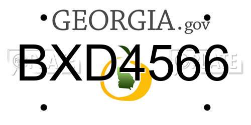 BXD4566 Georgia License Plate