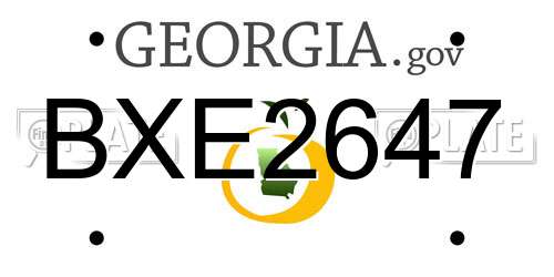 BXE2647 Georgia License Plate
