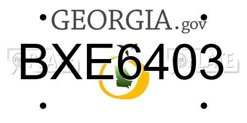 BXE6403 Georgia License Plate