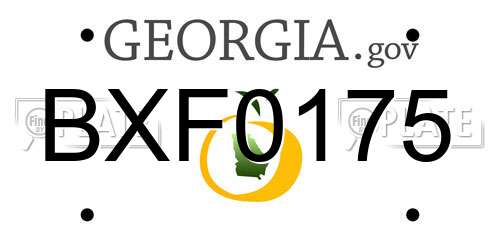 BXF0175 Georgia License Plate