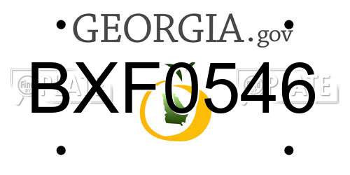 BXF0546 Georgia License Plate