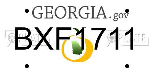 BXF1711 Georgia License Plate