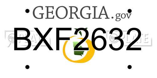 BXF2632 Georgia License Plate