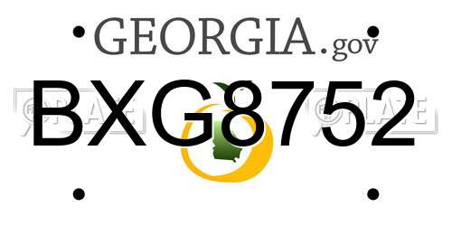 BXG8752 Georgia License Plate