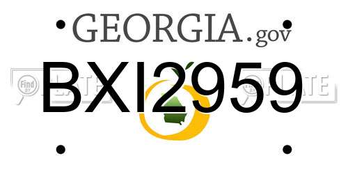 BXI2959 Georgia License Plate