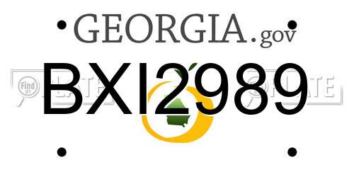BXI2989 Georgia License Plate