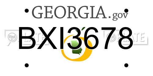 BXI3678 Georgia License Plate