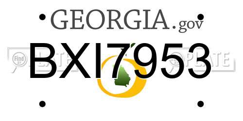 BXI7953 Georgia License Plate