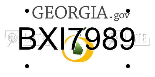 BXI7989 Georgia License Plate