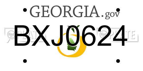 BXJ0624 Georgia License Plate