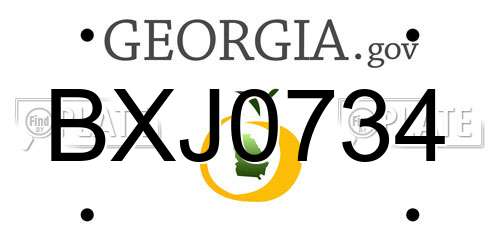 BXJ0734 Georgia License Plate
