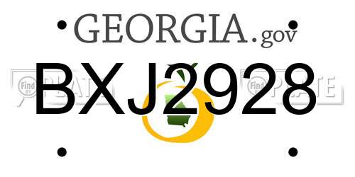 BXJ2928 Georgia License Plate