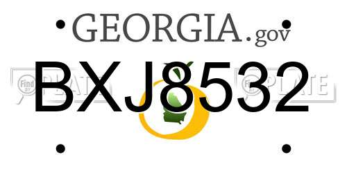 BXJ8532 Georgia License Plate