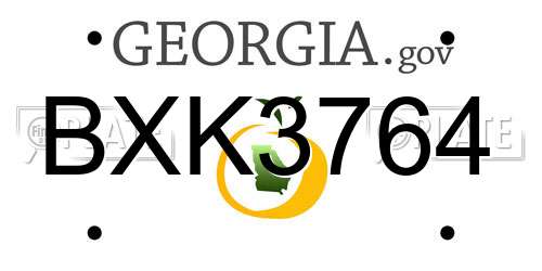 BXK3764 Georgia License Plate