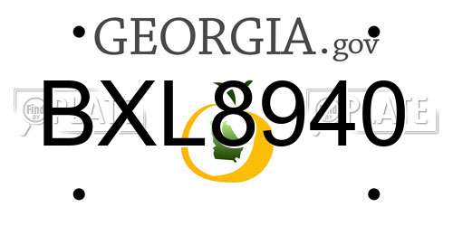 BXL8940 Georgia License Plate