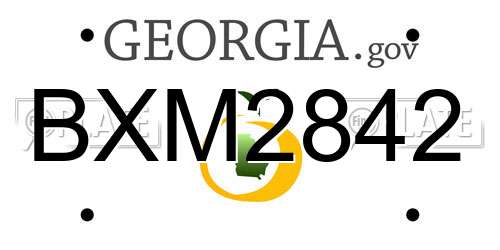 BXM2842 Georgia License Plate