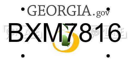 BXM7816 Georgia License Plate
