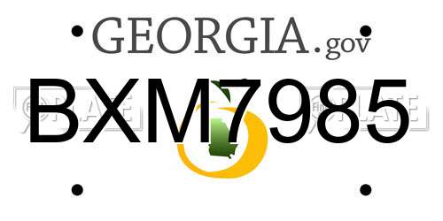 BXM7985 Georgia License Plate