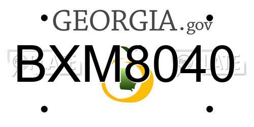 BXM8040 Georgia License Plate