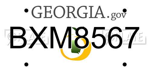 BXM8567 Georgia License Plate