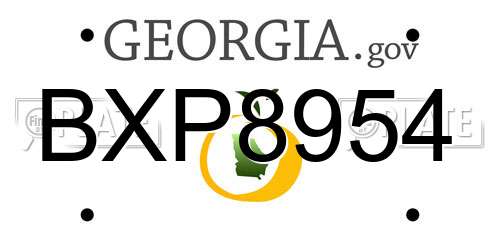 BXP8954 Georgia License Plate