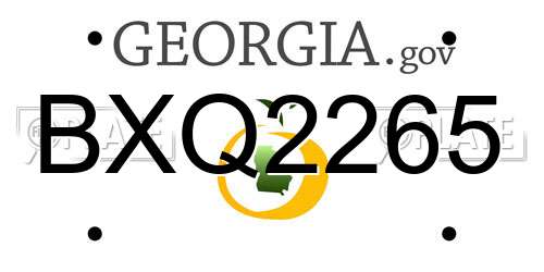 BXQ2265 Georgia License Plate