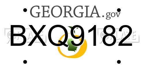 BXQ9182 Georgia License Plate