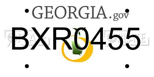BXR0455 Georgia License Plate