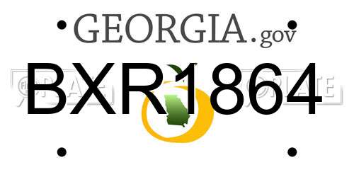 BXR1864 Georgia License Plate