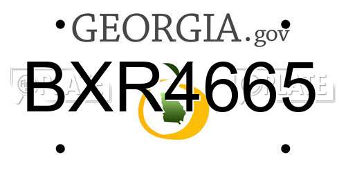 BXR4665 Georgia License Plate