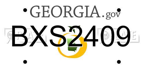 BXS2409 Georgia License Plate