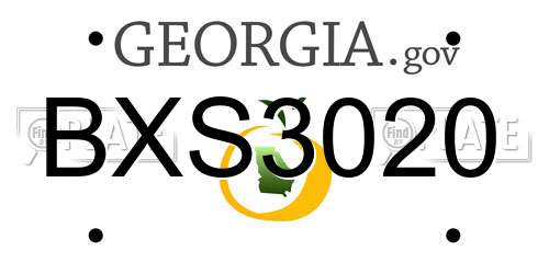 BXS3020 Georgia License Plate