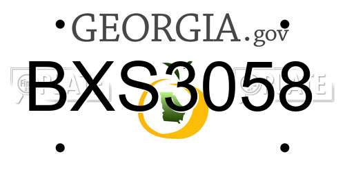 BXS3058 Georgia License Plate