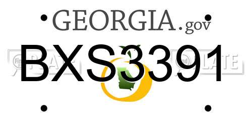 BXS3391 Georgia License Plate