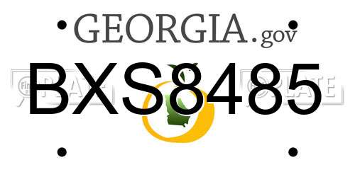 BXS8485 Georgia License Plate