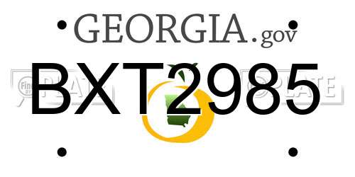 BXT2985 Georgia License Plate