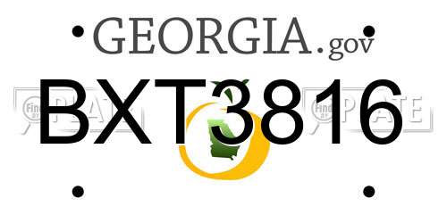 BXT3816 Georgia License Plate