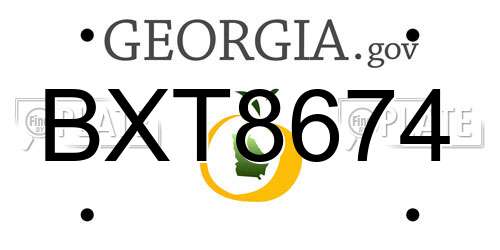 BXT8674 Georgia License Plate