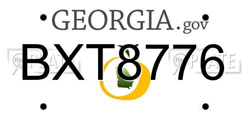 BXT8776 Georgia License Plate