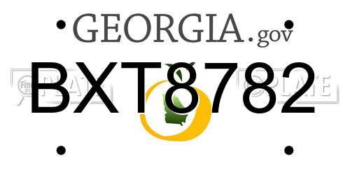 BXT8782 Georgia License Plate