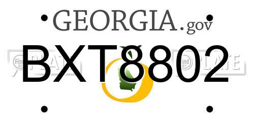 BXT8802 Georgia License Plate