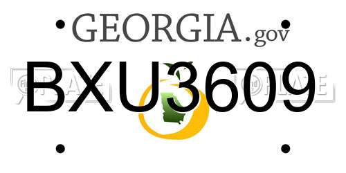 BXU3609 Georgia License Plate