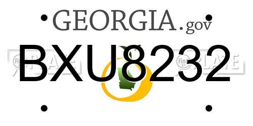 BXU8232 Georgia License Plate