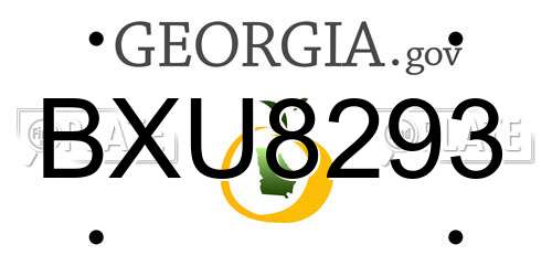 BXU8293 Georgia License Plate