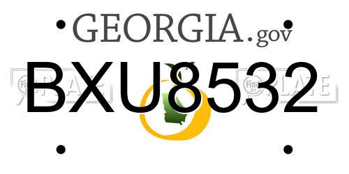 BXU8532 Georgia License Plate