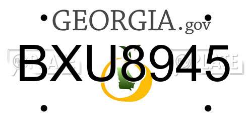 BXU8945 Georgia License Plate