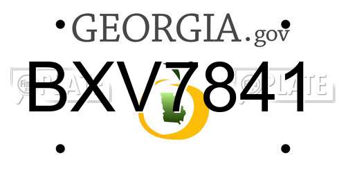 BXV7841 Georgia License Plate
