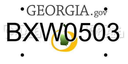 BXW0503 Georgia License Plate