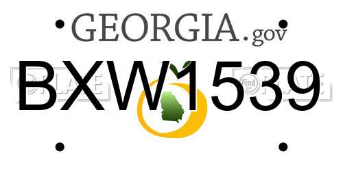 BXW1539 Georgia License Plate