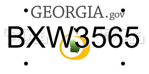 BXW3565 Georgia License Plate
